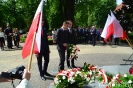 Rocznica zwycięstwa nad faszyzmem-12
