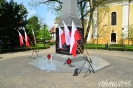 Rocznica zwycięstwa nad faszyzmem-1