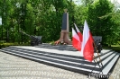 Rocznica zwycięstwa nad faszyzmem-31