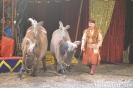 Cyrk Arlekin w Krotoszynie-59