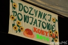 Dożynki Powiatowe w Kobylinie-18