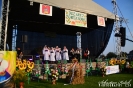 Dożynki Powiatowe w Kobylinie-19