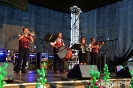 Dożynki Powiatowe w Kobylinie-50
