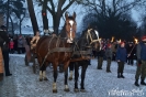 Pochód króli bez króli 2016