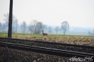 XI wyprawa rowerowa UTW-41