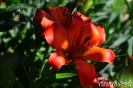 XVII wyprawa rowerowa UTW-48