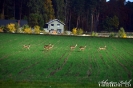 23 wyprawa rowerowa UTW-32