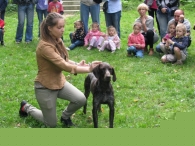 Myśliwskie biesiadowanie [gallery]