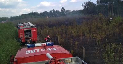 Pożar  młodnika w Bukowicach
