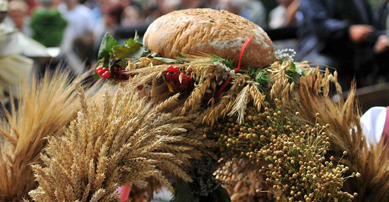 Czas na przygotowanie dożynek