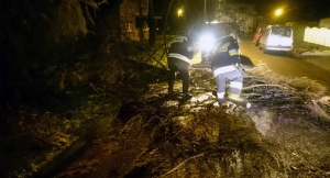Strażacy pocięli przewrócone drzewa piłą spalinową