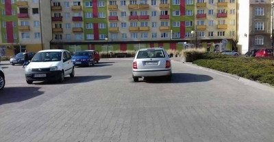 Mistrz parkowania 81