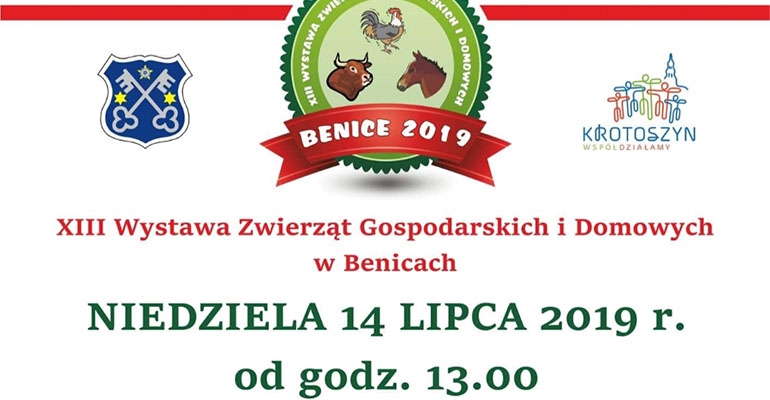 Weekend na imprezie w Benicach