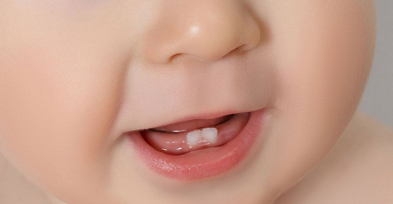 Rozwój i wyrzynanie zębów mlecznych