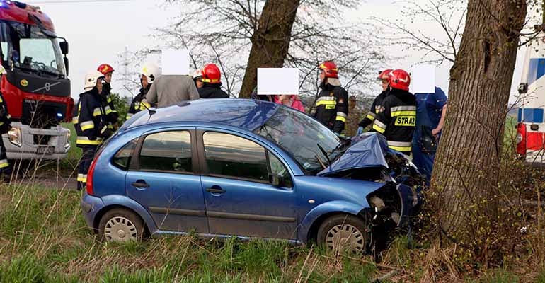 Citroenem w drzewo