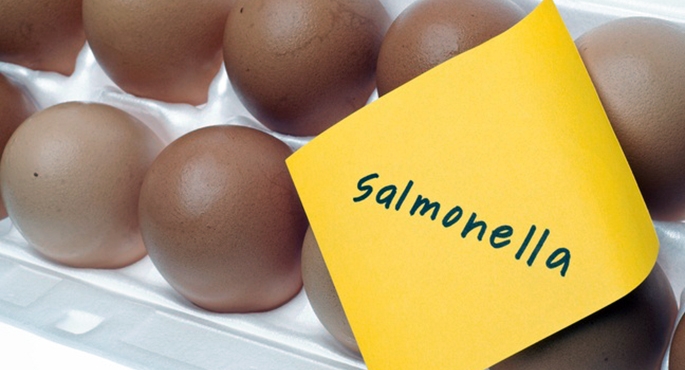 Jaja zakażone salmonellą w sklepach DINO