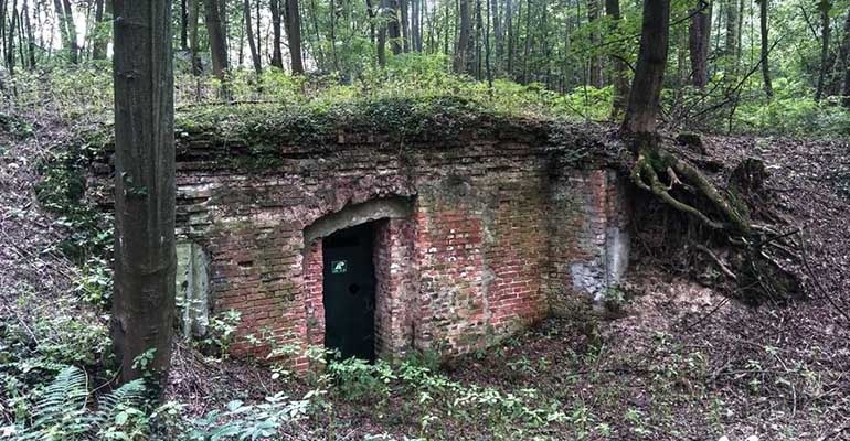 Zwiedzili leśną lodówkę