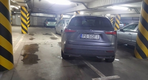 Mistrz parkowania 74