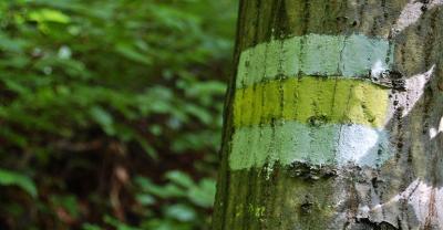 Krotoszyn – Sulmierzyce (17,4 km)