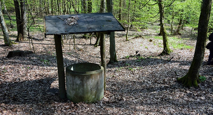 Zmodernizują studnię św. Marcina?