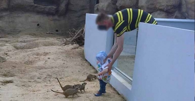 Dziecko w klatce w zoo