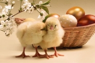 Dziś obchodzimy Wielkanoc