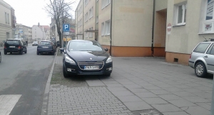 Mistrz parkowania 33