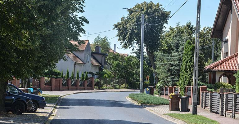 Pielęgnacja wyjdzie im na dobre