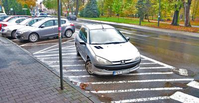 Mistrz parkowania 106