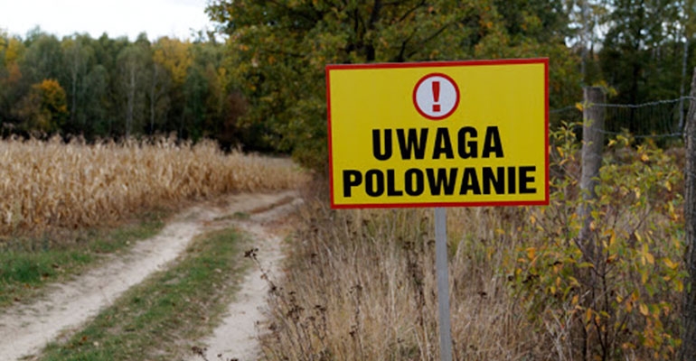 Uwaga – polowanie