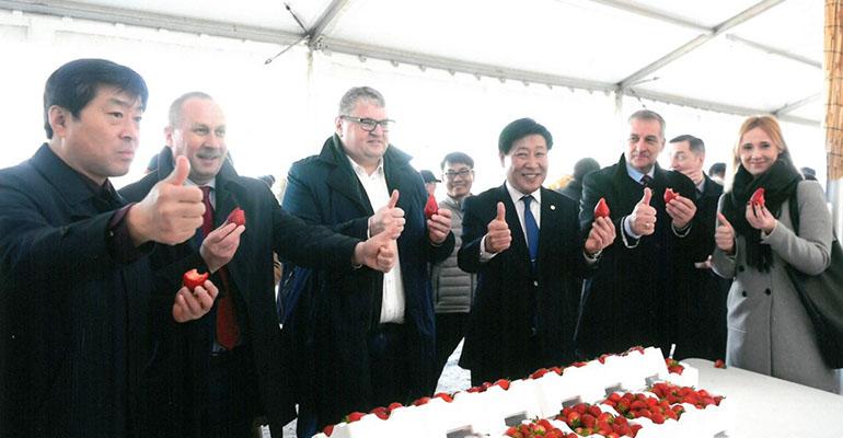 Burmistrz w Korei na festiwalu truskawki