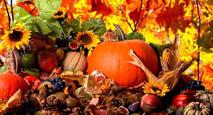 Dynia, cukinia, kabaczek – ogród w kolorach jesieni