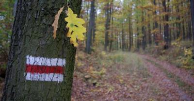 Krotoszyn – Baszków (15,0 km)