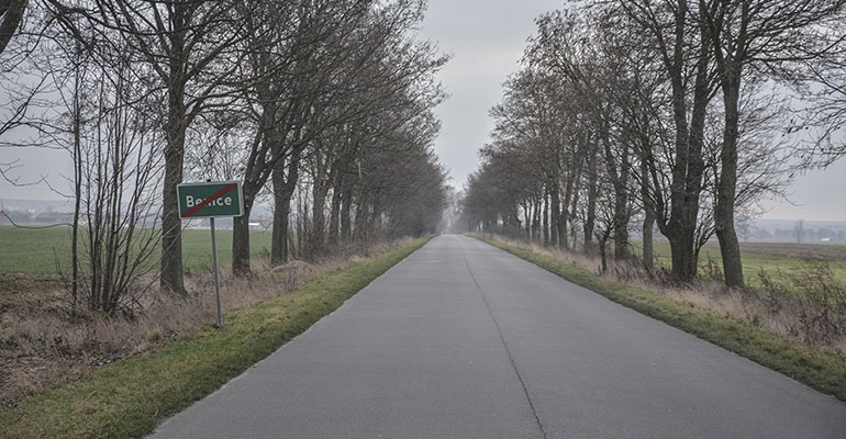 Naprawili drogę, teraz wytną drzewa