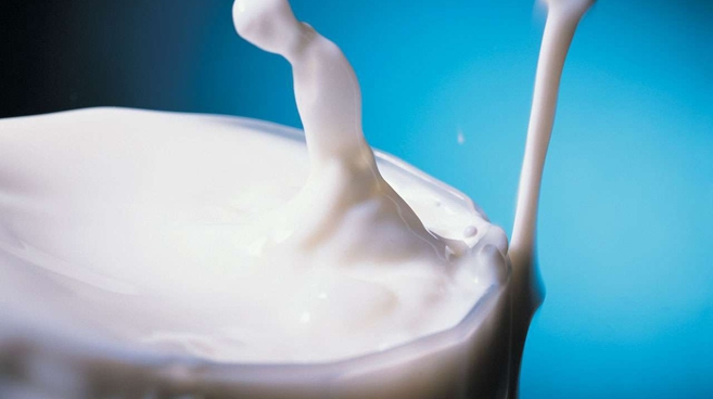 Im mniej tłuszczu zawiera mleko, tym bardziej wydaje się „wodniste”