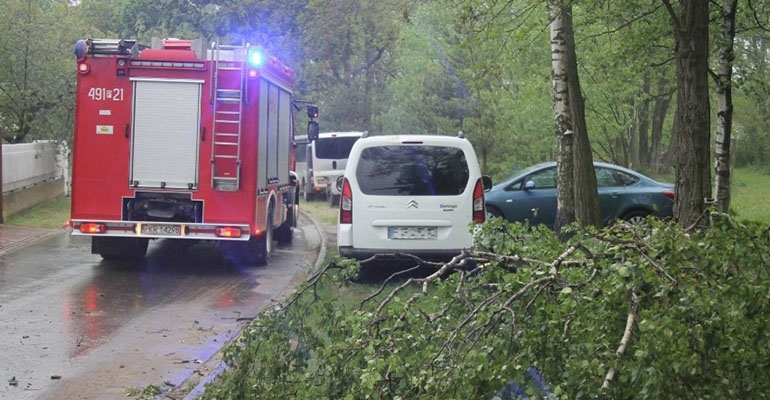 Drzewo przewróciło się na samochód