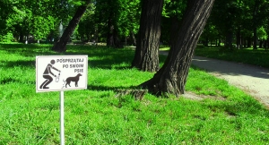 Porządek to rzecz święta