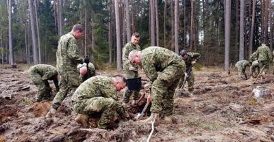 Żołnierze pomagają polskim leśnikom