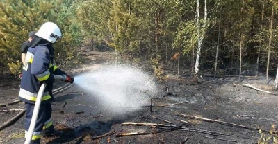 Spłonęło sześć hektarów lasu