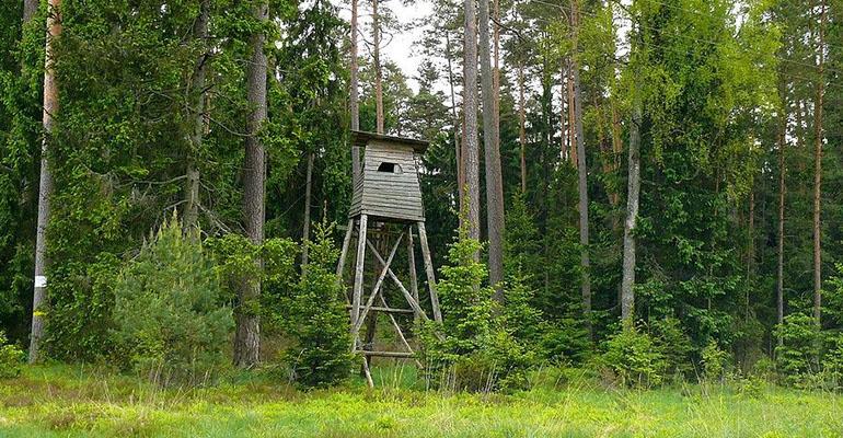 Nie przeżył upadku z ambony