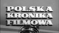 Polska Kronika Filmowa
