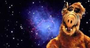 Smakosz kotów z Melmac