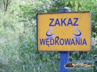 Zakaz wędrowania?