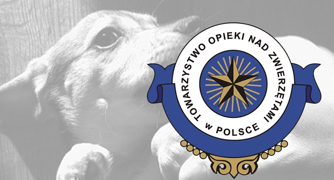 Pieskie życie