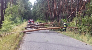 Pracowita sobota strażaków[gallery]