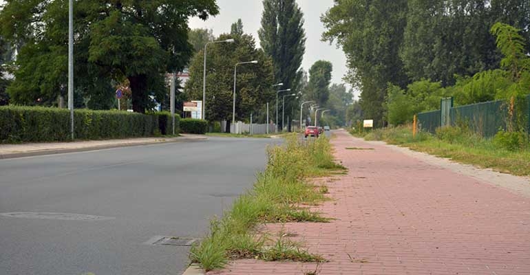 Chodnik przy ul. Rawickiej jest zaśmieciony gałęziami