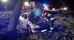 Osobówka uderzyła w drzewo[gallery]