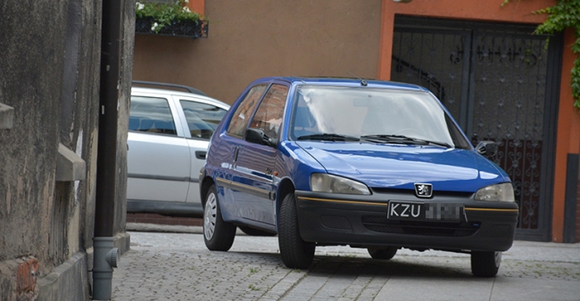 Mistrz parkowania 88