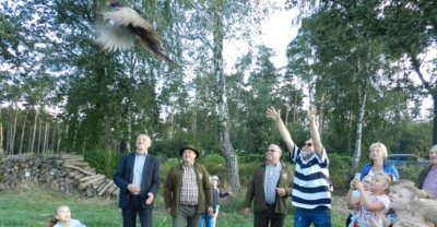 Nowe bażanty w okolicach Kobierna