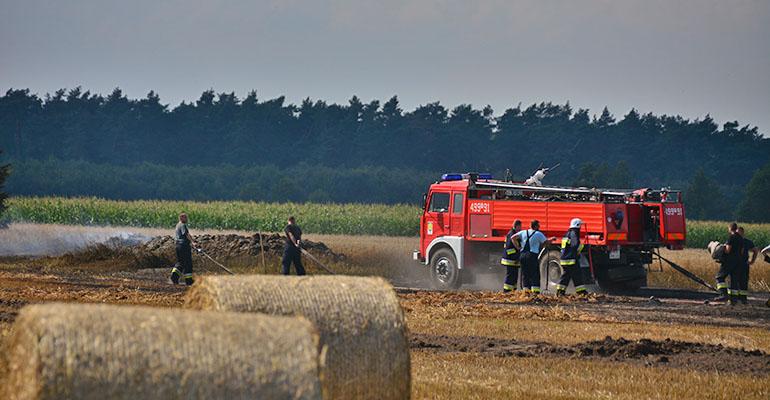 Pożar lasu i zboża